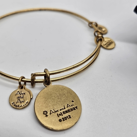 Alex and Ani expandable bangle bracelet gold tone Completely Blessed - Picture 2 of 4